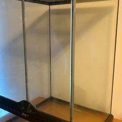 GEX エキゾテラ3045の画像