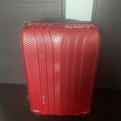 2回使った　スーツケースの画像