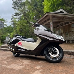 YAMAHA マグザムの画像