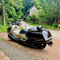 YAMAHA マグザムの画像
