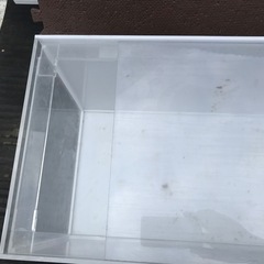 アクリル水槽90センチの画像