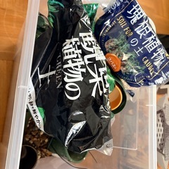 観葉植物　培土の画像