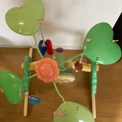 プーメリーの画像