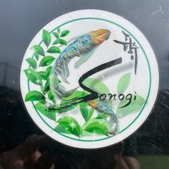彩墨　オリジナルメダカの画像