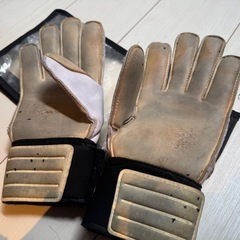 umbro NEO pro DPS ゴールキーパー　グローブ　サッカーの画像