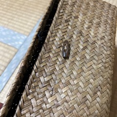 可愛いかごの画像