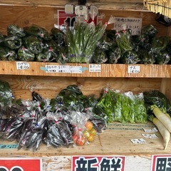 本日限定きゅうり5袋購入につき、1袋サービス10袋購入につき3袋サービス　朝取立て　野菜の画像