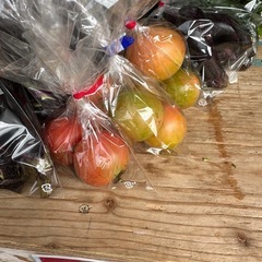 本日限定きゅうり5袋購入につき、1袋サービス10袋購入につき3袋サービス　朝取立て　野菜の画像