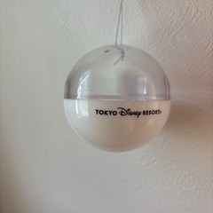 ベイマックスカプセルのみの画像