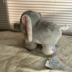 ゾウ　ぬいぐるみの画像
