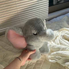 ゾウ　ぬいぐるみの画像