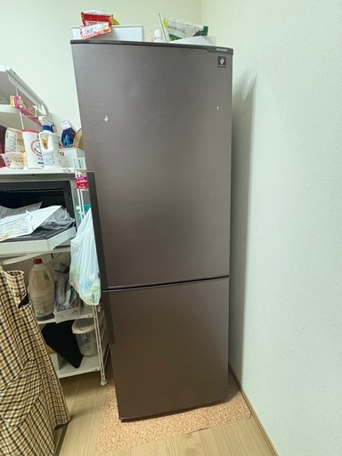 【受渡し予定者決定】SHARP 冷蔵庫 11月中旬頃のお引き渡しとなります