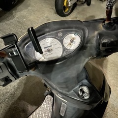 シグナスZの画像