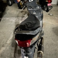 シグナスZの画像