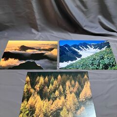 入替写真付き額の画像