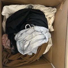 女性用のMサイズの洋服と少しの雑貨の画像