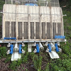 イセキ 田植機 4条植 SANAE PM53農機具の画像