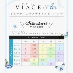新品 未開封品　VIAGEエアーナイトブラ クールグレー×グレー LLサイズの画像