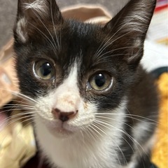 2ヶ月弱兄弟で幸せにしてください。