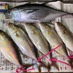 ナイスfish🐟釣りグループのメンバー募集🎣