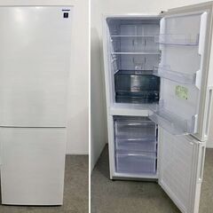 高年式!2024年製! SHARP シャープ SJ-PD31K-W 310L アコールホワイト プラズマクラスター冷蔵庫 2ドア 中古家電 店頭引取歓迎 R10120の画像