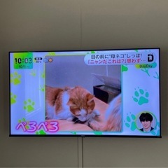 55インチ　テレビ　壁掛け金具セットの画像