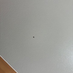 昇降式デスク　スタンディングデスク　
使用期間3ヶ月の画像