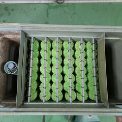 ろ過器大型（池用向き）    No.30の画像