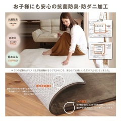 ホットカーペット、カーペットの画像