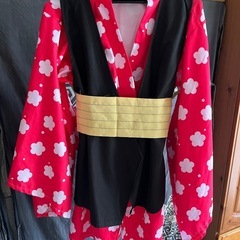 鬼滅の刃真菰の衣装の画像