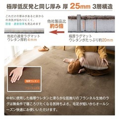 ホットカーペット、カーペットの画像