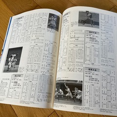 公式記録集　第103回全国高等学校野球選手権大会の画像
