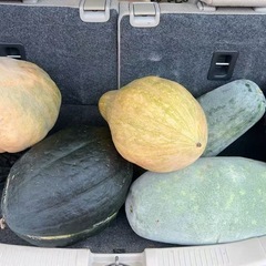 野菜の画像