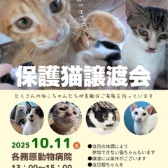 ゴロニャン譲渡会in 各務原