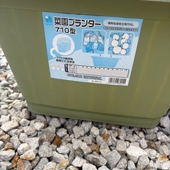 プランターと支柱お譲りしますの画像