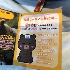 お話し中危険じゃない生物ぬいぐるみヒグマの画像