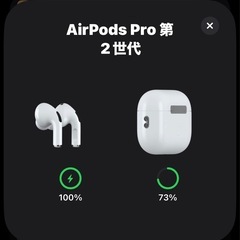 Apple Airpods pro 第2世代 Cタイプの画像