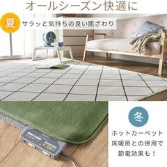 アイリスプラザ フランネルラグ スクエアブラウン 200×250㎝ 滑り止め付き ラグ 洗える ラグカーペット マット カーペット対応 防ダニ フランネル さらフワ触感 おしゃれ 北欧 じゅうたんの画像