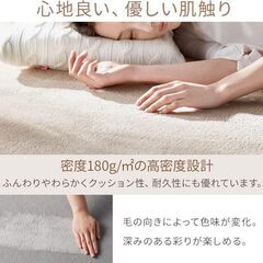 アイリスプラザ フランネルラグ スクエアブラウン 200×250㎝ 滑り止め付き ラグ 洗える ラグカーペット マット カーペット対応 防ダニ フランネル さらフワ触感 おしゃれ 北欧 じゅうたんの画像
