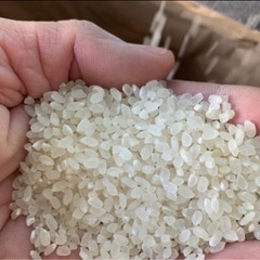 無農薬　R7年あけぼの30キロ　予約受付の画像