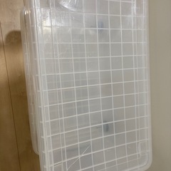 収納ケース　大　2個の画像