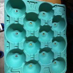 りんごモールド　80入り 10/11/1210/11/12の画像