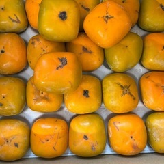 新高梨小玉1個の画像