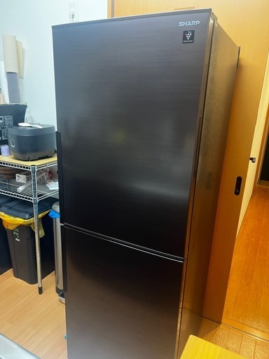 冷蔵庫部分大きめ冷蔵庫