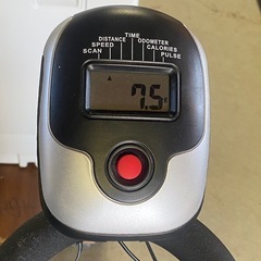 & エアロバイク　DMASUN SPEED BIKE ハンドル5段階/サドル7段階　動作品の画像