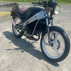 社外チャンバー付き！実働！SUZUKI ウルフ50 早い者勝ちの画像