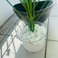フェイク観葉植物2の画像