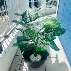 フェイク観葉植物2の画像