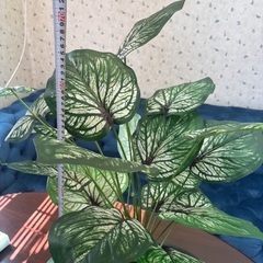 フェイク観葉植物2の画像
