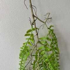 フェイクグリーン　造花　シダ　直接引き取りの方¥500引き　グリーンアート　インテリアの画像